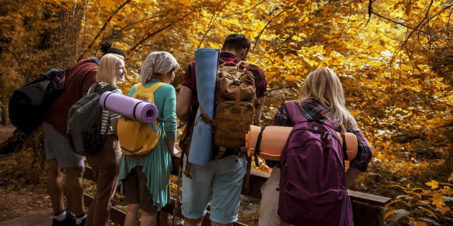 A group of young kinds hiking under a beautiful autum canopy.